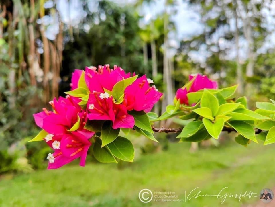 Phurin Thara Resort Ko Lanta エクステリア 写真